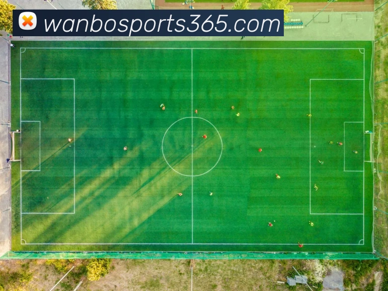 App Interface Preview