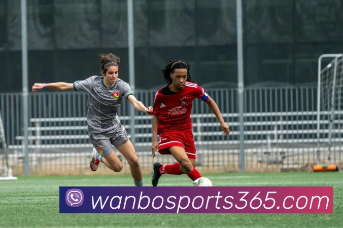 万博体育APP 封面图